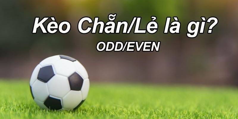 Kèo chẵn lẻ là gì?