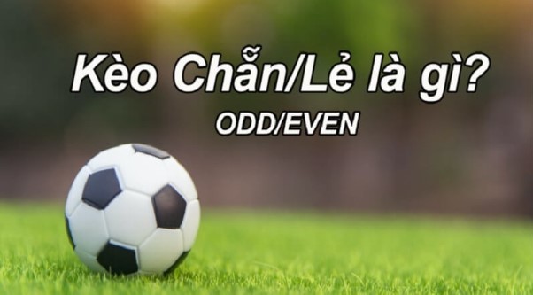 Kèo chẵn lẻ là gì? Cách đánh kèo chẵn lẻ cho tay cược?